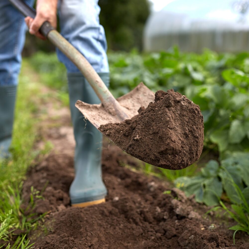 Gardening