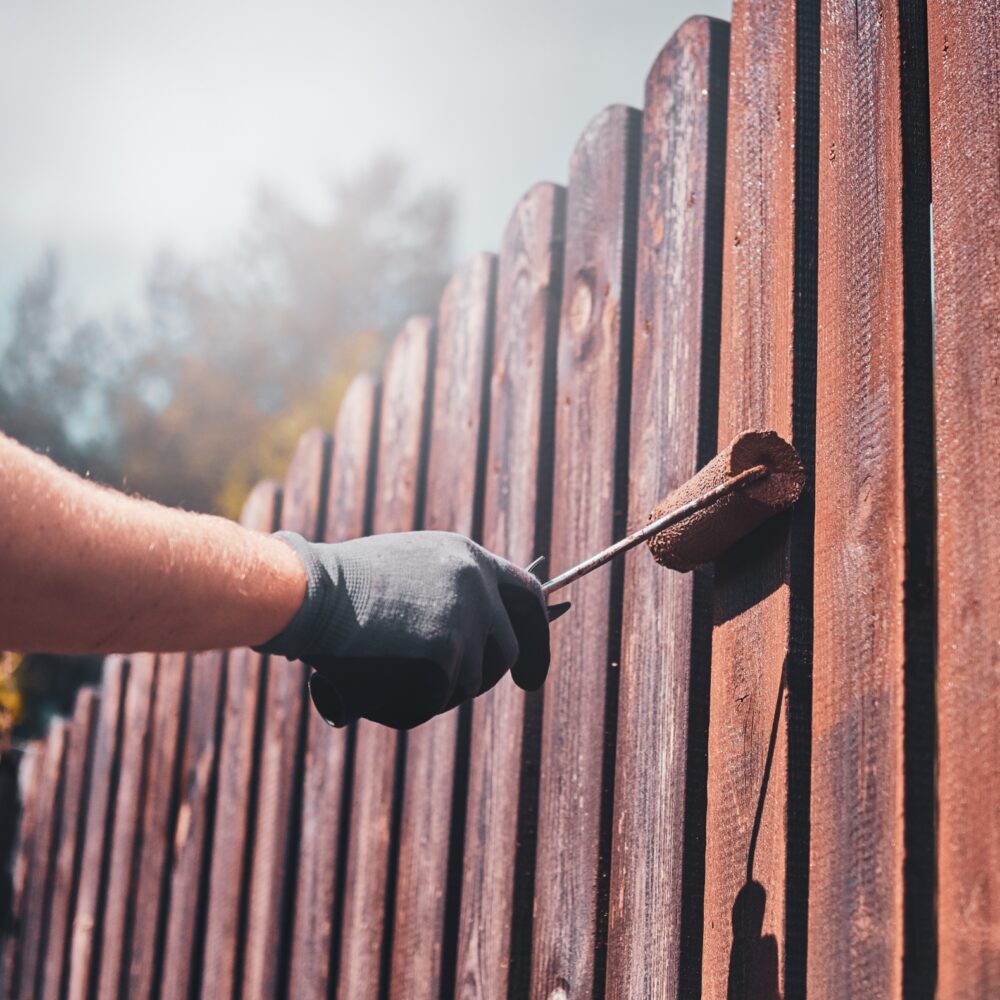 Fence painting
