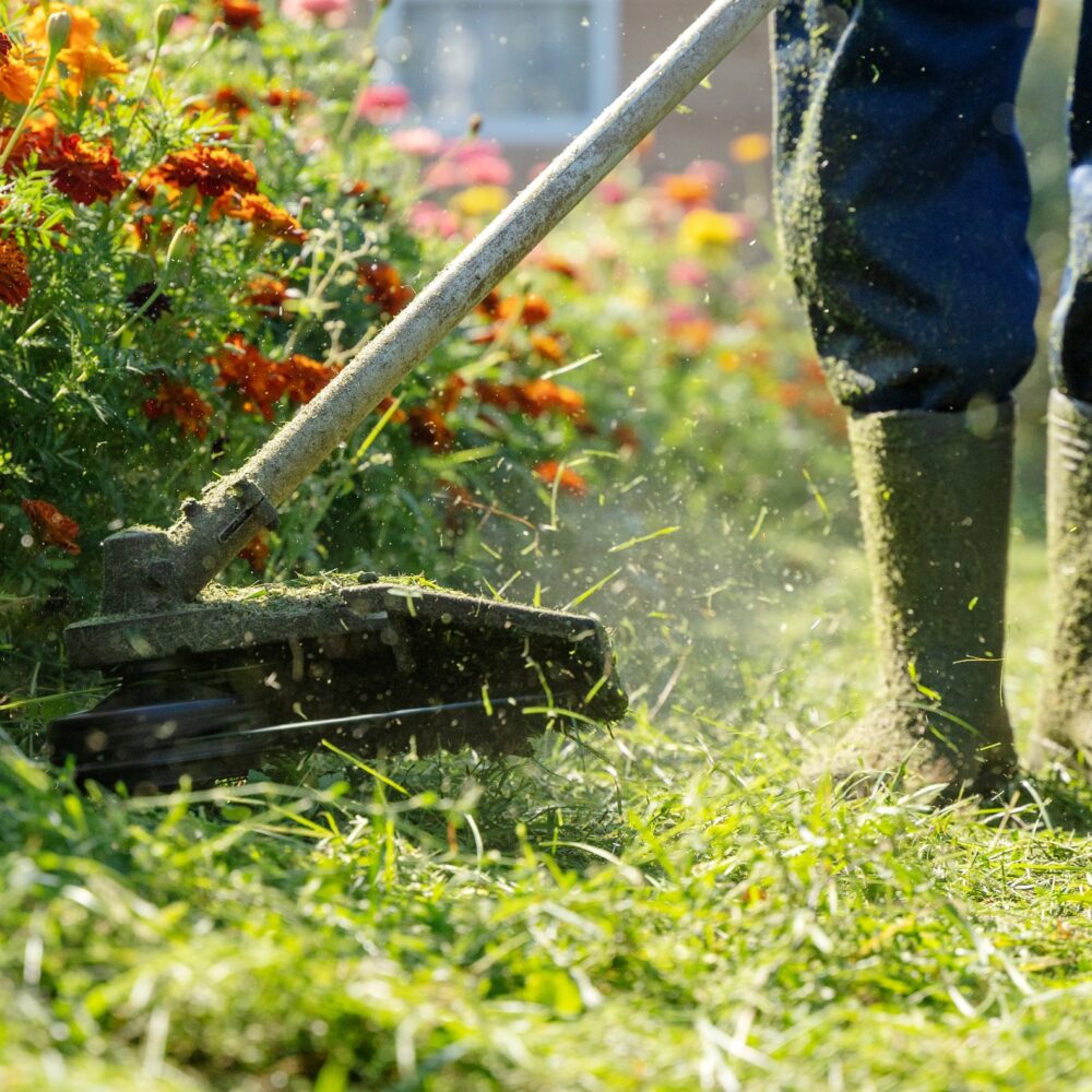 Gardening with strimmer