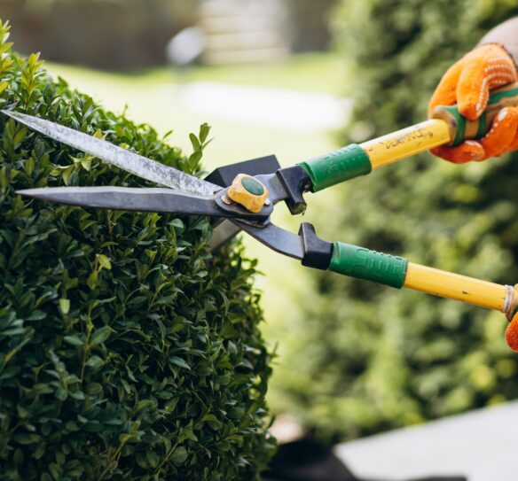 Hedge cutting